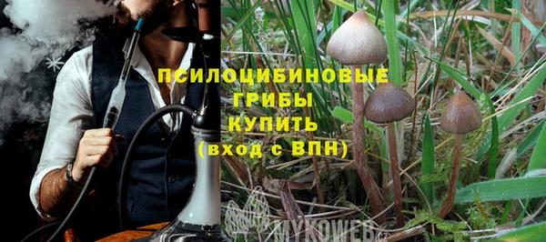 бошки Богданович