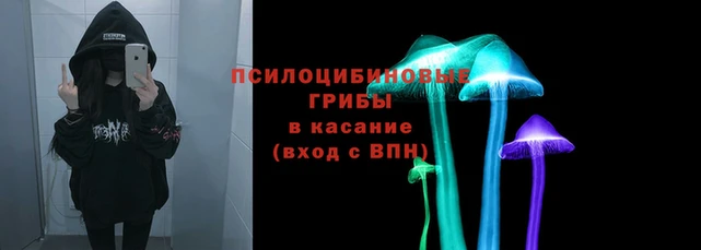 а пвп мука Богородицк