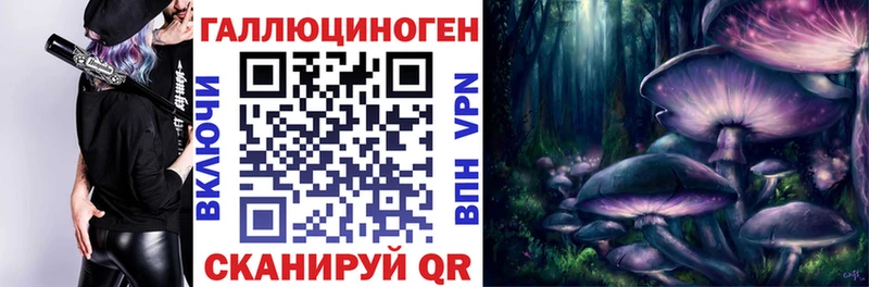 закладка  Пионерский  Псилоцибиновые грибы MAGIC MUSHROOMS 